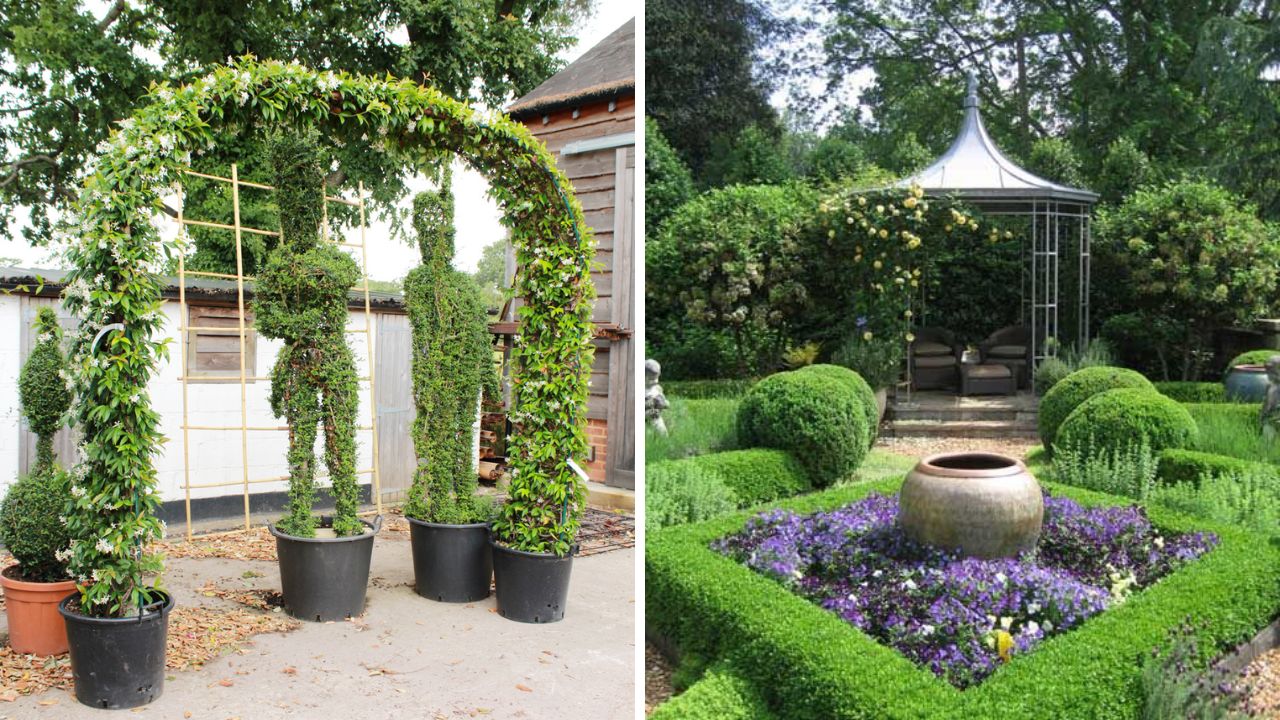 7. Focal Point — The Star of Your Garden