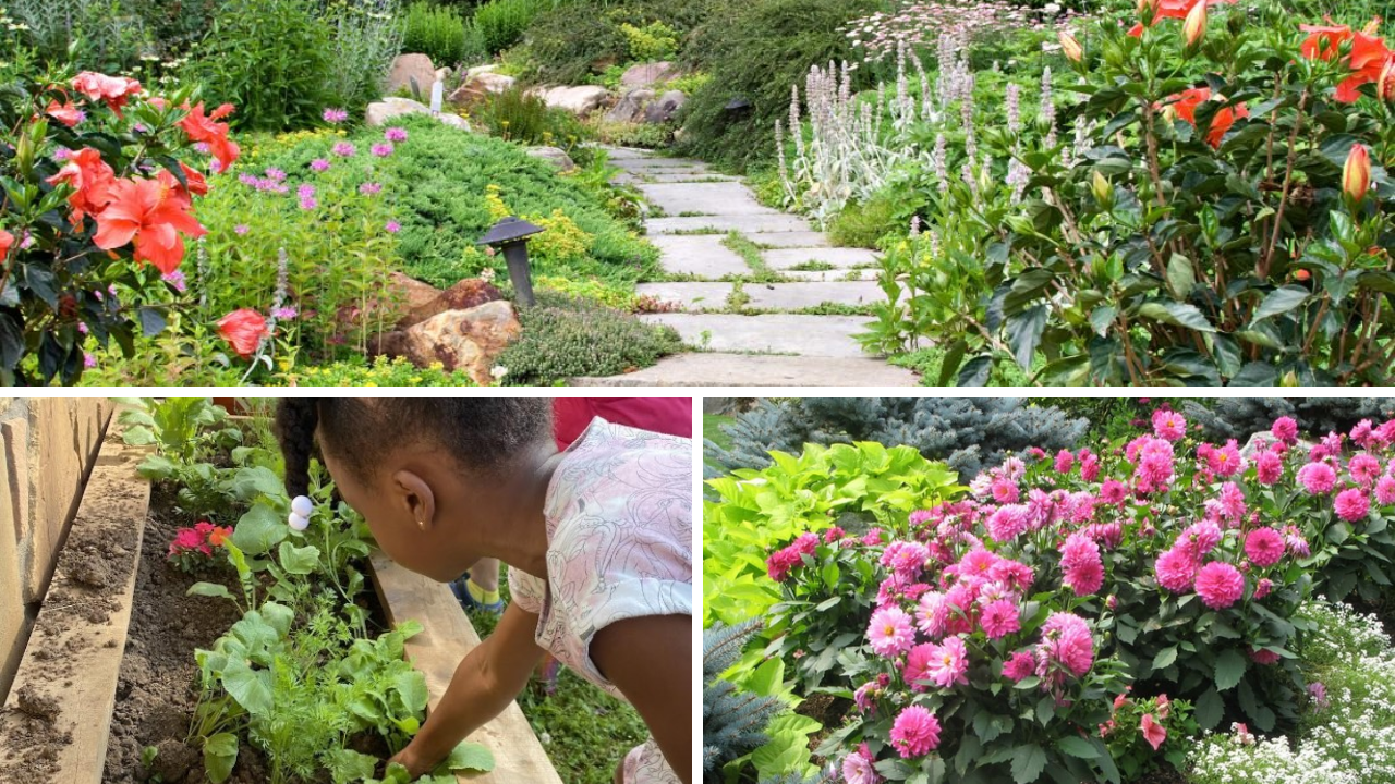 1. Unity — Bringing Your Garden Together