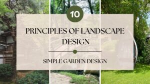 What Are The 10 Principles of Landscape Design with Examples Simple Garden Design Ideas for Home
