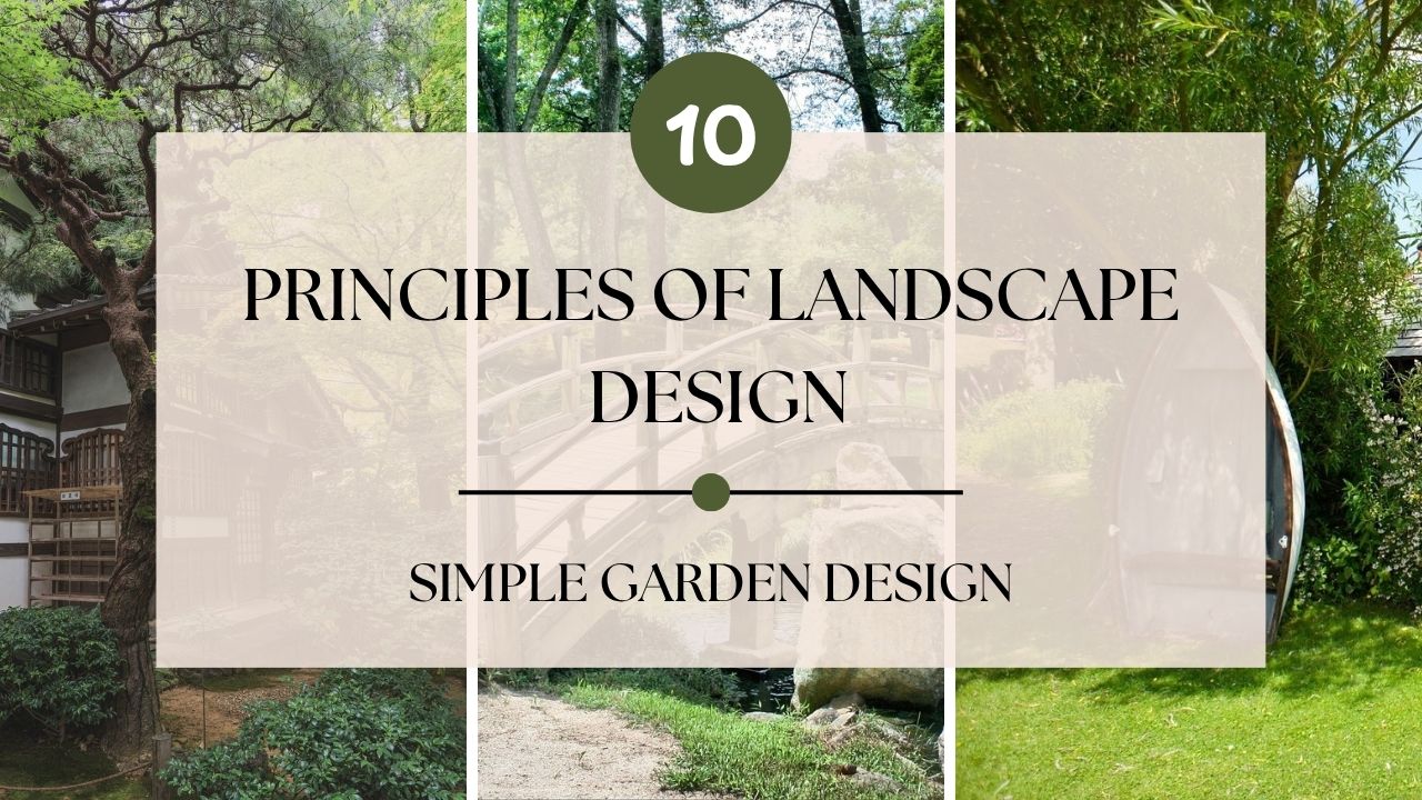 What Are The 10 Principles of Landscape Design with Examples? Simple Garden Design Ideas for Home